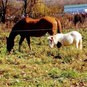 Meet your Posher, Sandie